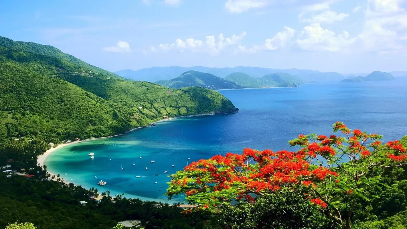 高效绿色